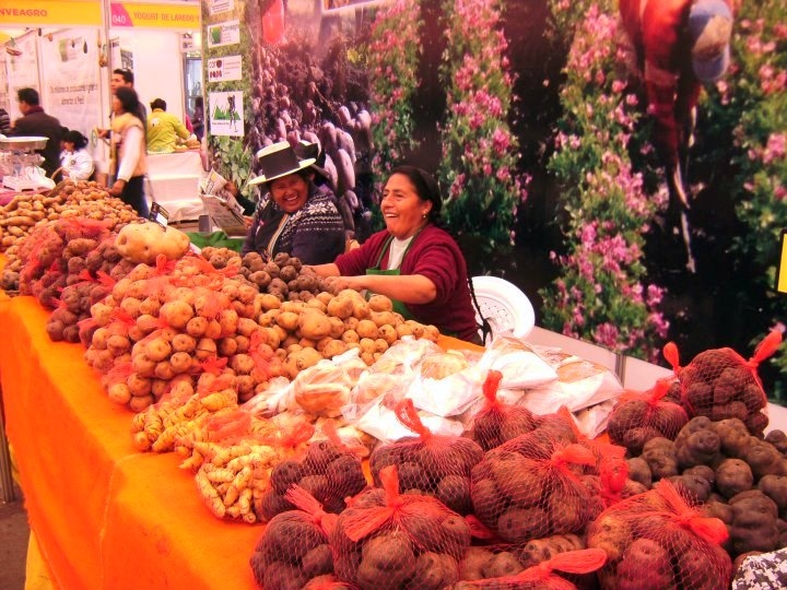 07-potato-market